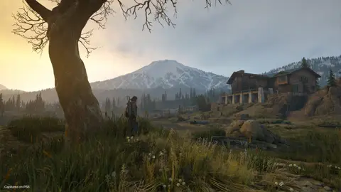 Days Gone Remastered: скриншот 6