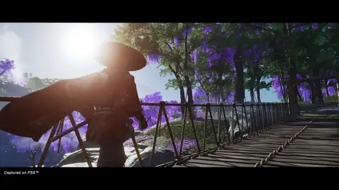 Ghost of Tsushima Director's Cut: скриншот 1