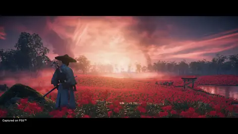Ghost of Tsushima Director's Cut: скриншот 2