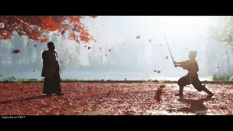 Ghost of Tsushima Director's Cut: скриншот 5