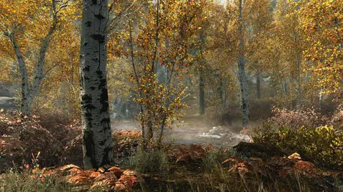 The Elder Scrolls V: Skyrim: скриншот 4