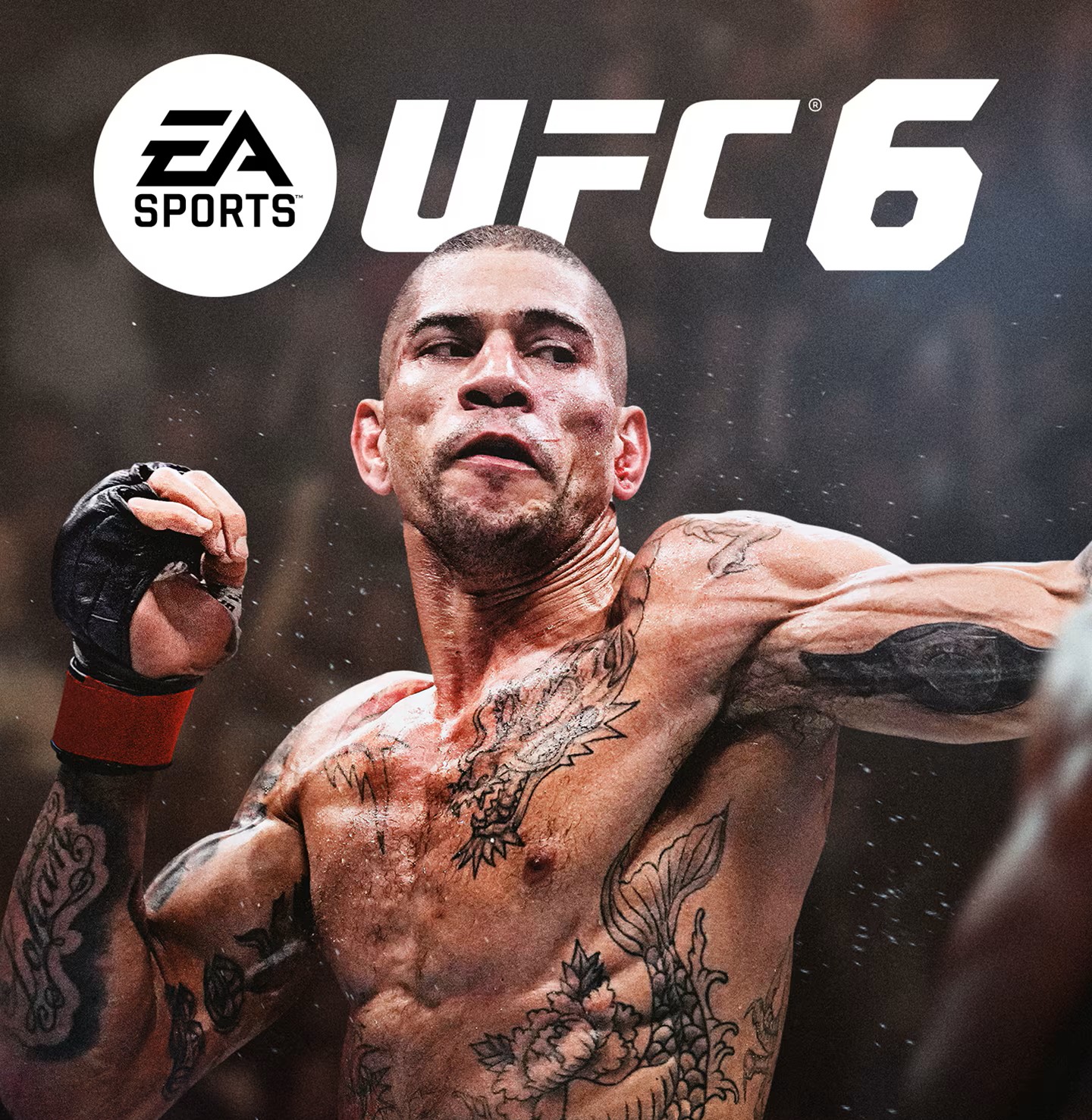 UFC 6 Standart — купить в temavorobey